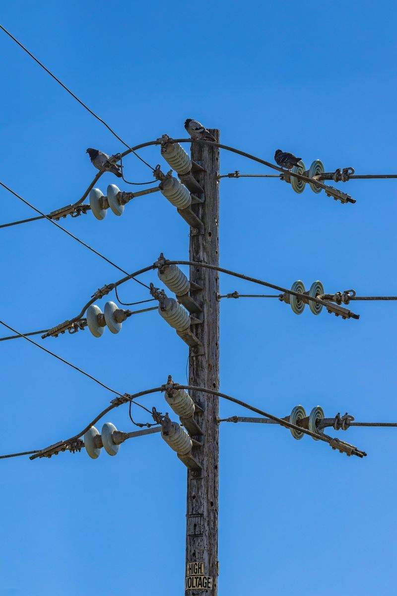 Electrical Safety Inspections